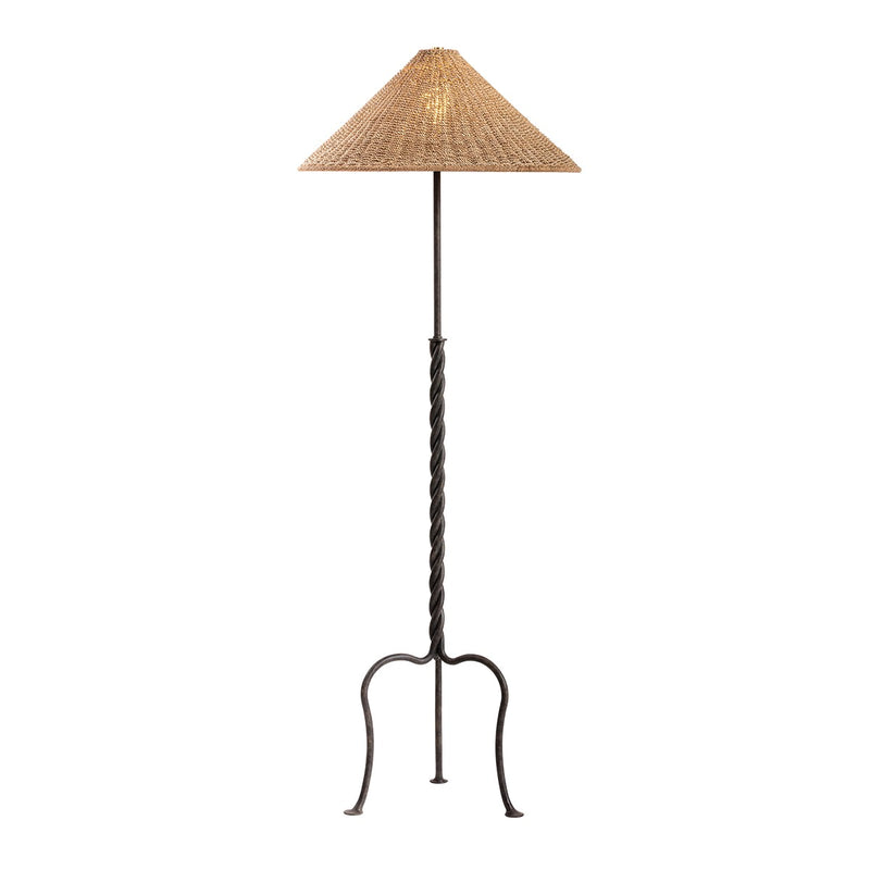 Troy Lighting PFL5164-FRN One Light Floor Lamp, French Iron