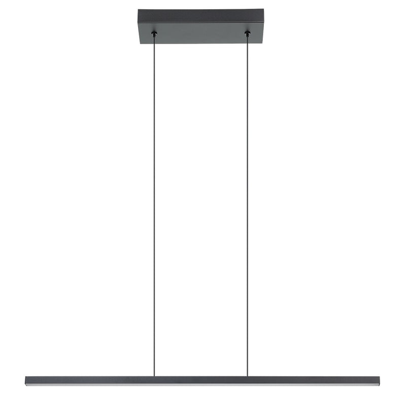 Eglo USA 206045A LED Pendant, Black