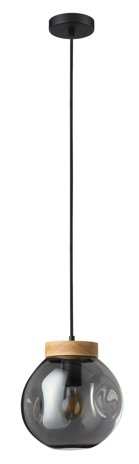 Eglo USA 206613A One Light Pendant, Black & Light Wood