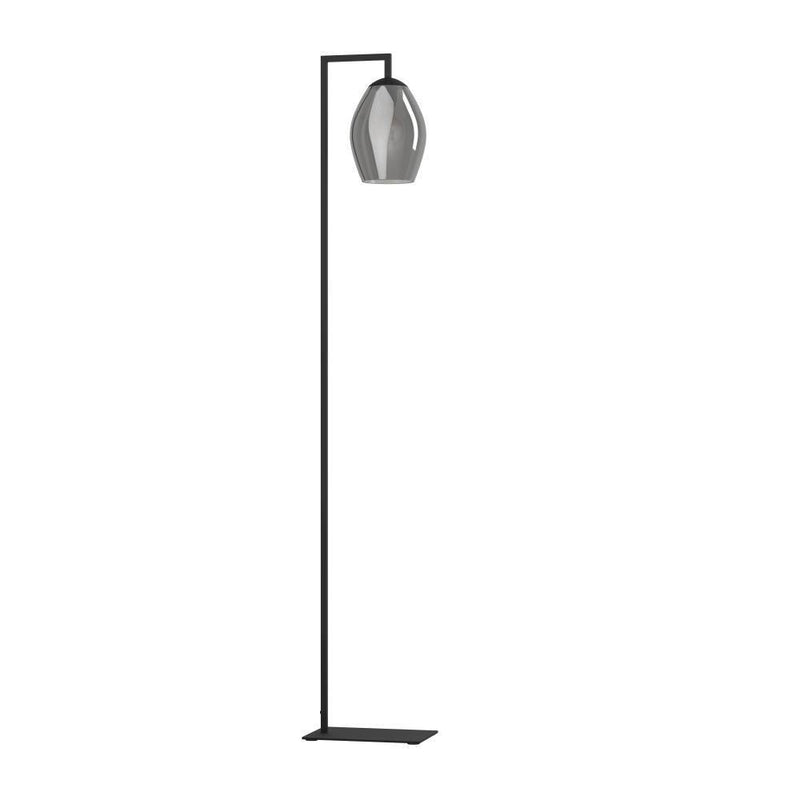 Eglo USA 390256A One Light Floor Lamp, Black