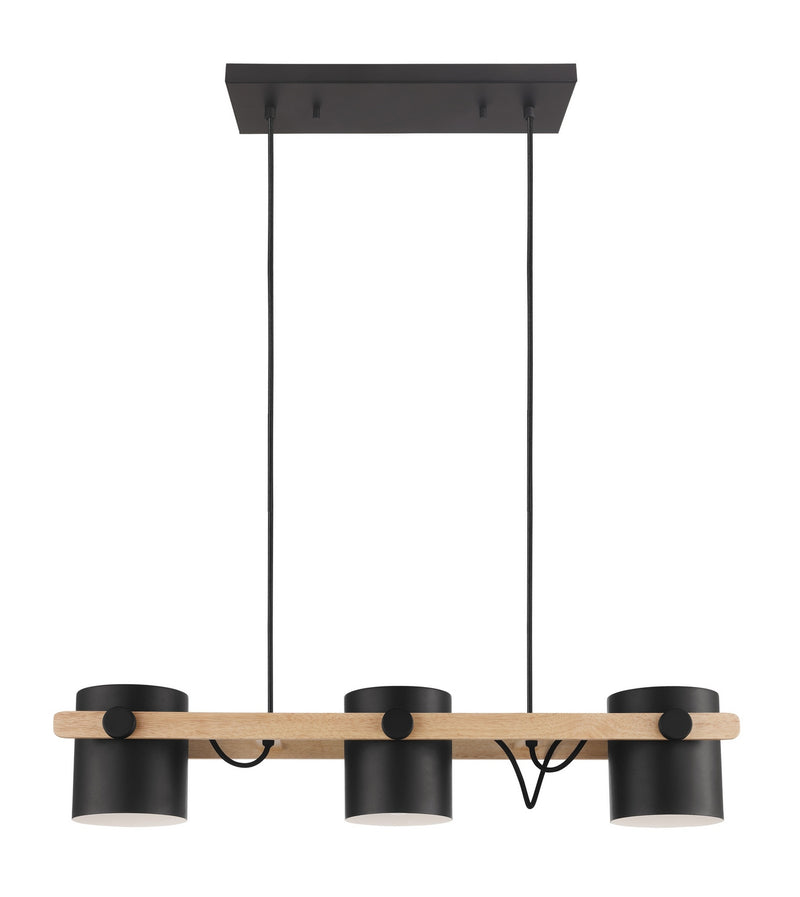 Eglo USA 43045A Three Light Pendant, Black