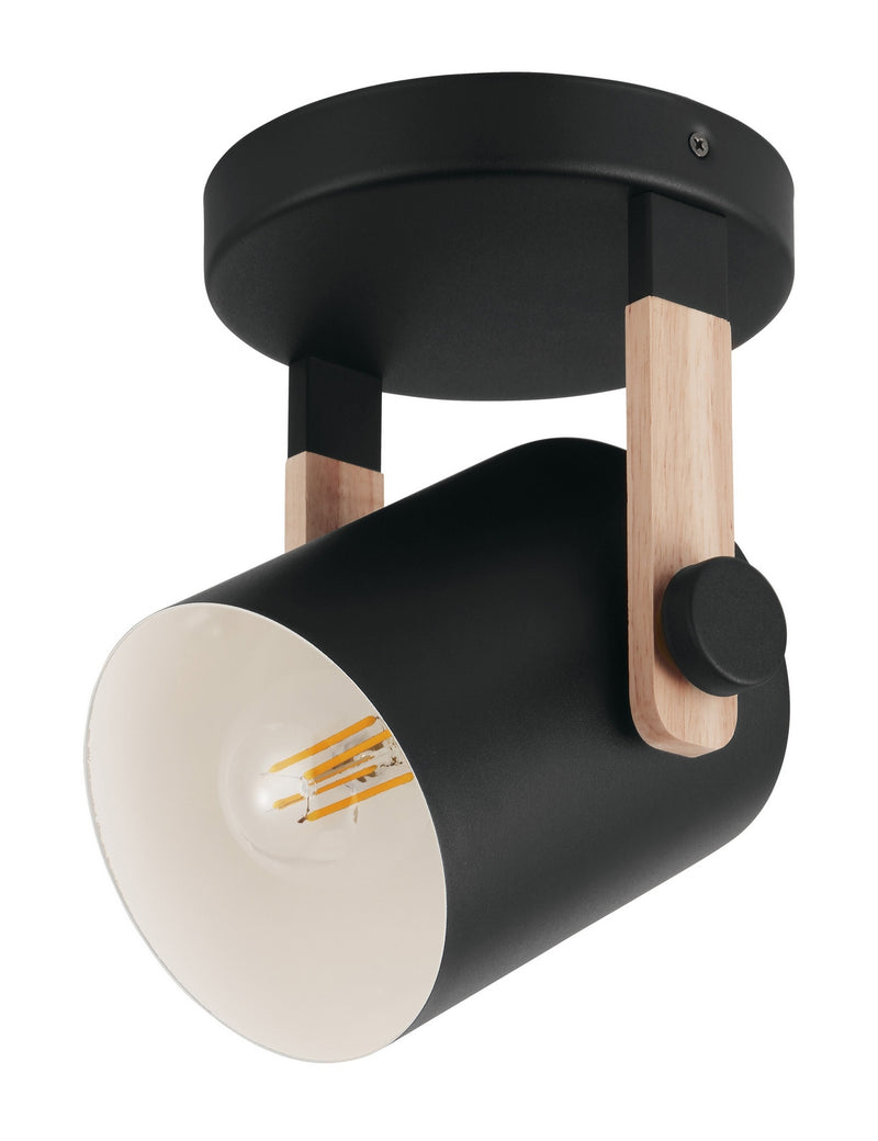 Eglo USA 43046A One Light Ceiling Mount, Black