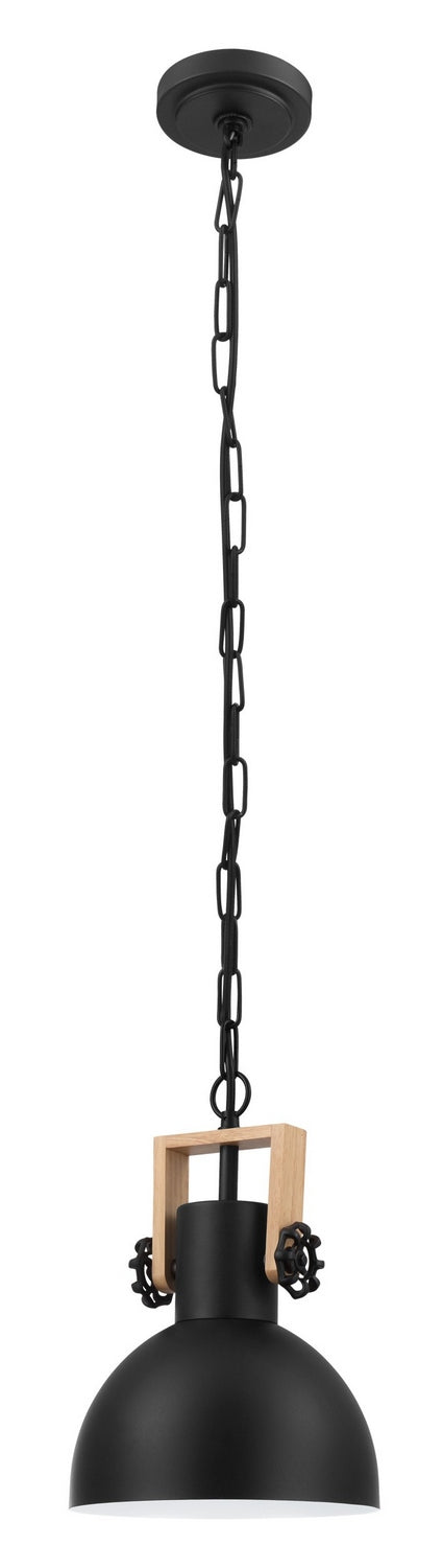 Eglo USA 204201A One Light Pendant, Black