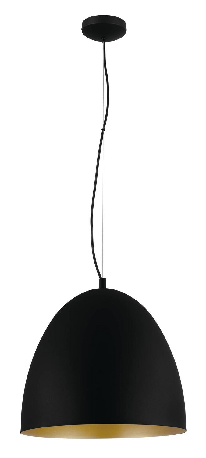 Eglo USA 204316A One Light Pendant, Black