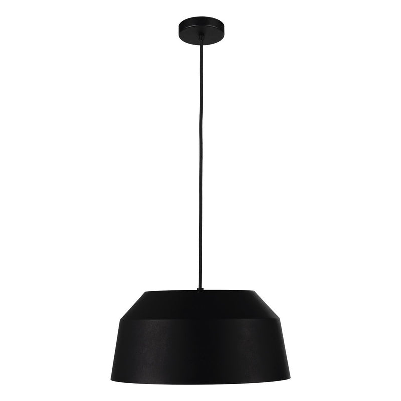 Eglo USA 206249A One Light Pendant, Black