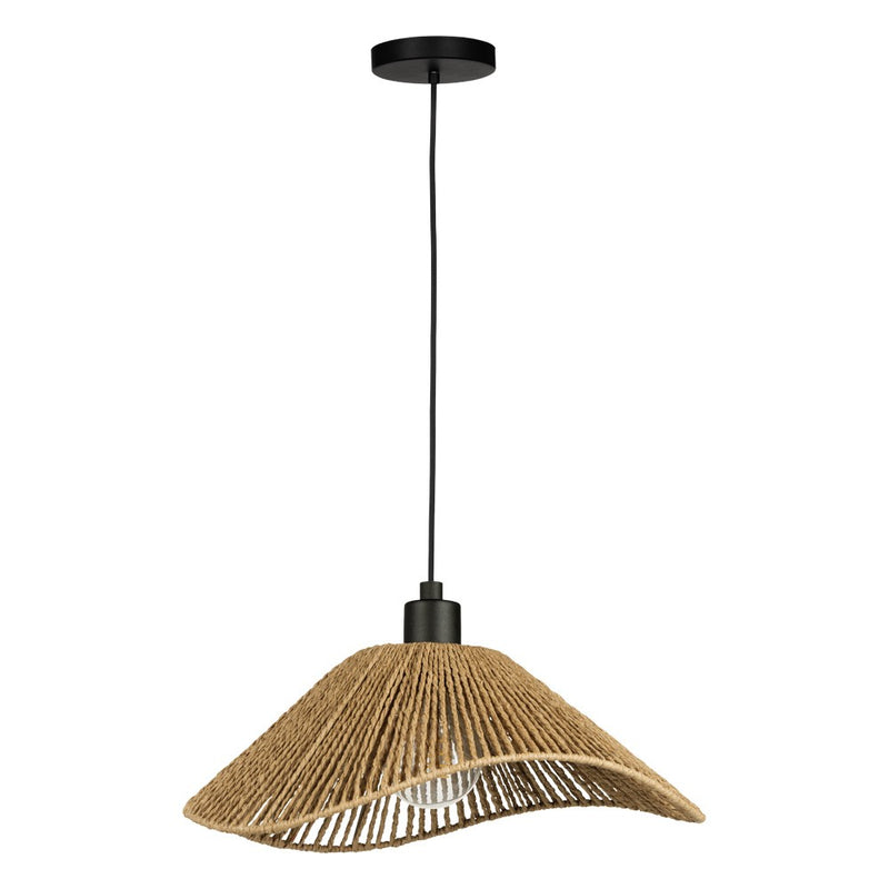 Eglo USA 206322A One Light Dual Mount Pendant or Ceiling, Black