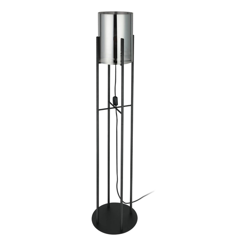 Eglo USA 43142A One Light Floor Lamp, Black