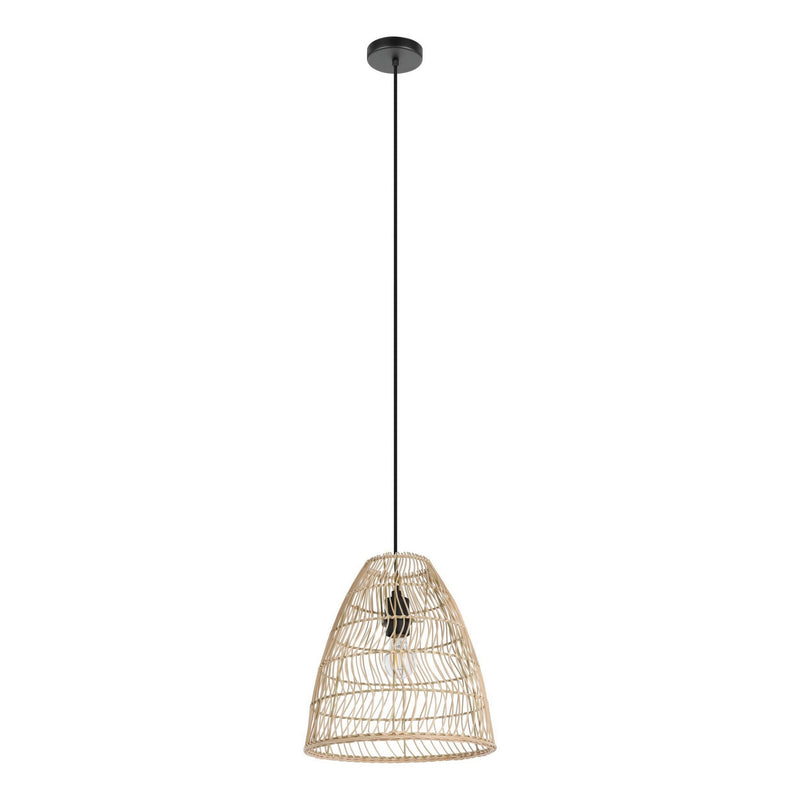 Eglo USA 43866A One Light Mini Pendant, Black