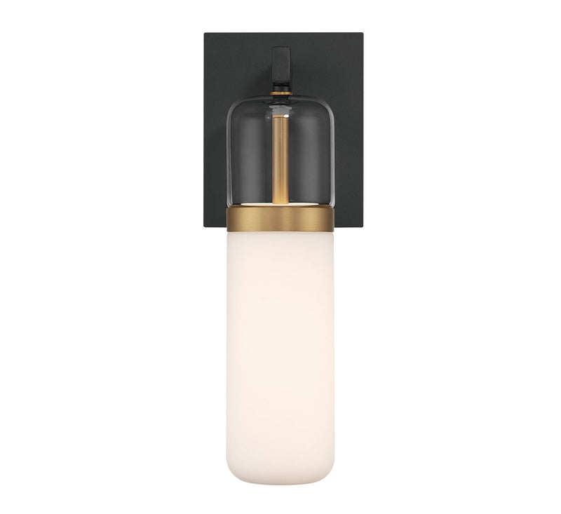 Lib & Co. 12355-02 LED Wall Mount, Black