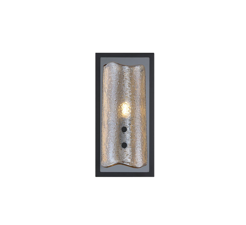 Lib & Co. 12436-018-02 LED Wall Mount, Black