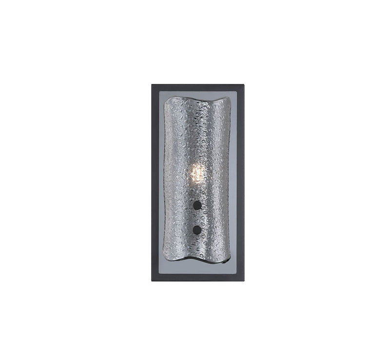 Lib & Co. 12436-019-02 LED Wall Mount, Black