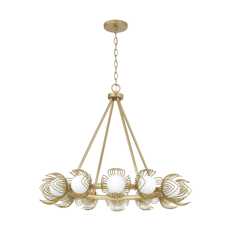 Capital Lighting 462101GF 12 Light Chandelier, Buffed Gold