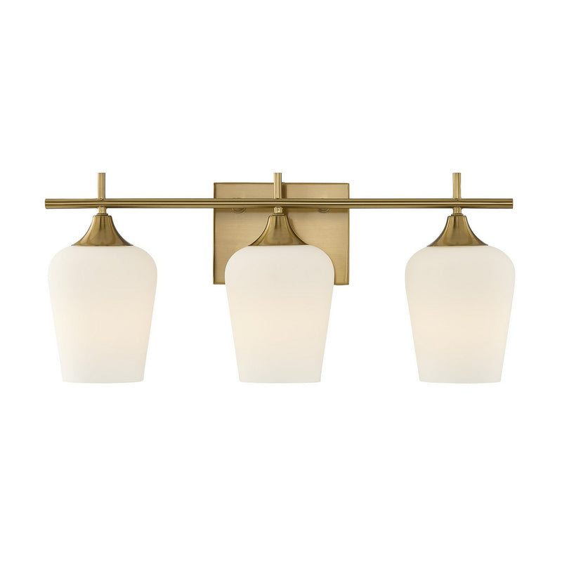 Savoy House 8-6030-3-322 Three Light Bathroom Vanity