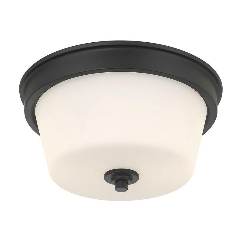 Millennium 64102WG-MB Two Light Flush Mount, Matte Black