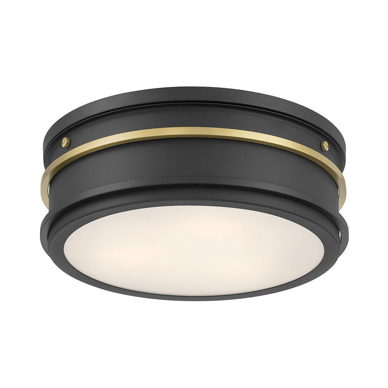 Millennium 90202-MB/VB LED Flush Mount, Matte Black
