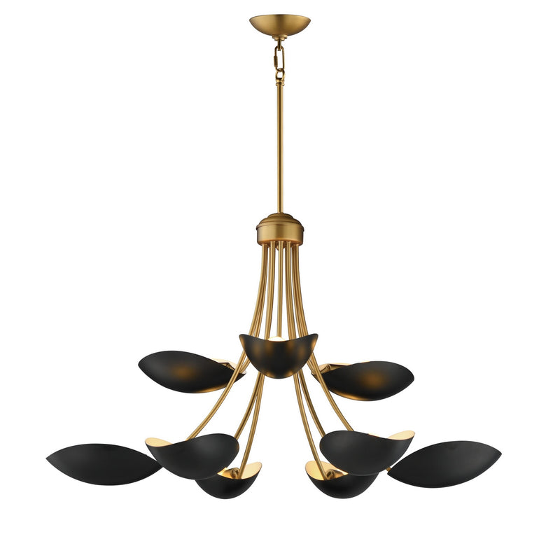 Maxim 10829BKNAB Nine Light Chandelier, Black / Natural Aged Brass
