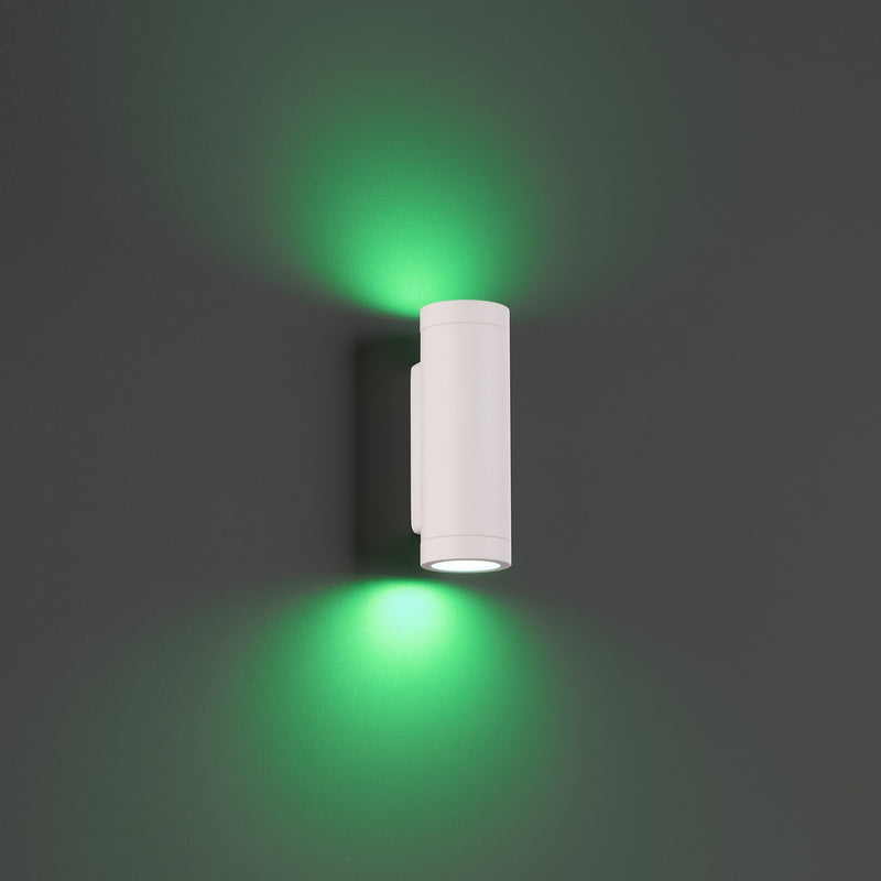 W.A.C. Lighting 3911-CSWT LED Landscape Wall Mount, White on Aluminum
