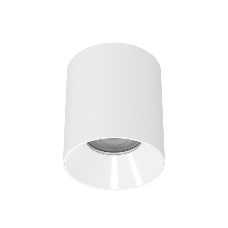 W.A.C. Lighting C4RL-FCS-WTWT LED Flush Mount, White/White