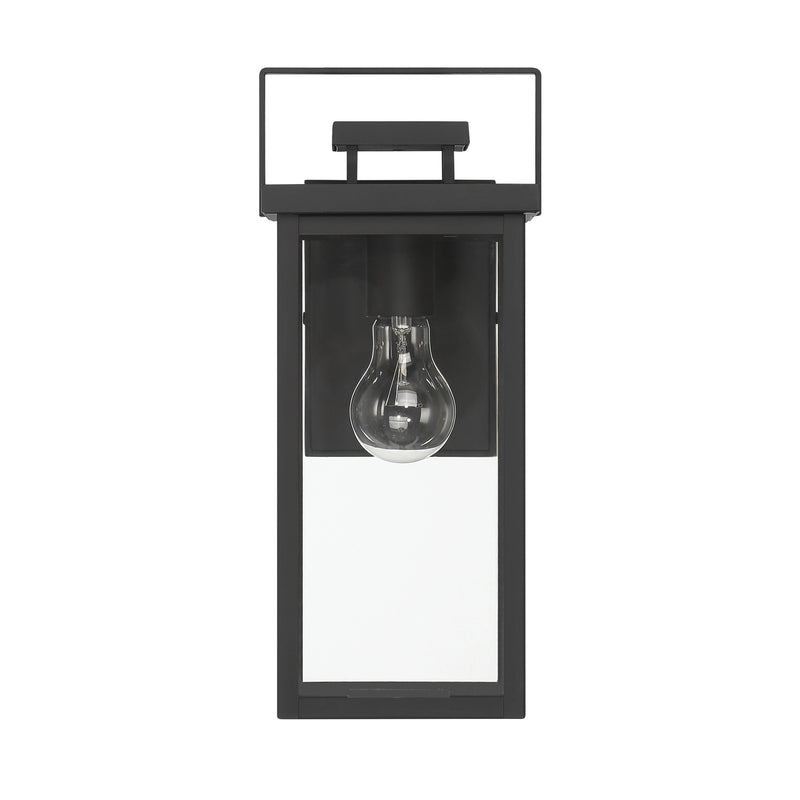 Hunter 46051 One Light Outdoor Wall Mount, Matte Black