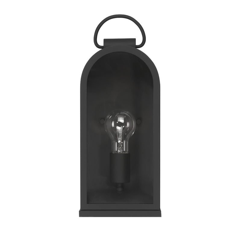 Hunter 46058 One Light Outdoor Wall Mount, Matte Black