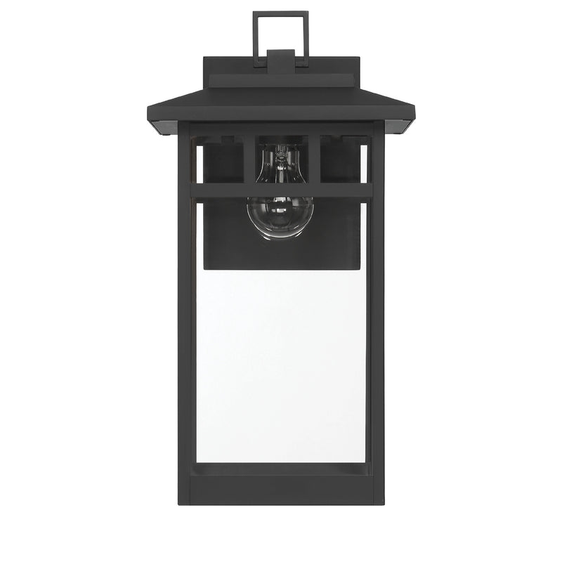 Hunter 46072 One Light Outdoor Wall Mount, Matte Black