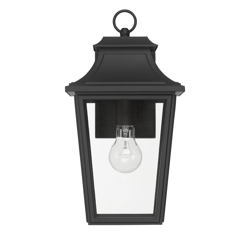Hunter 46080 One Light Outdoor Wall Mount, Matte Black