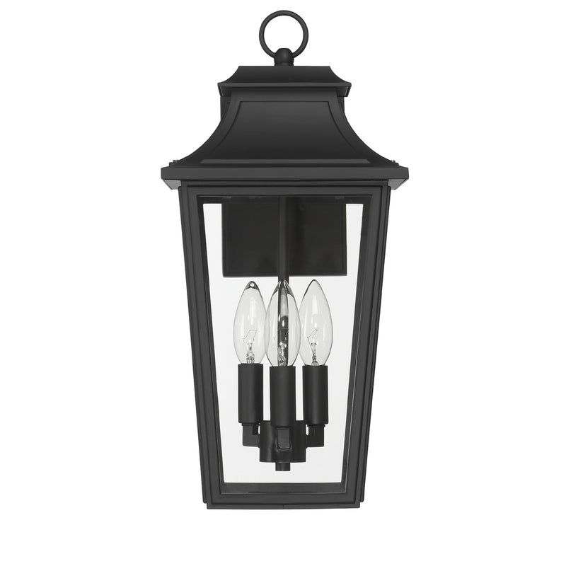 Hunter 46082 Three Light Outdoor Wall Mount, Matte Black