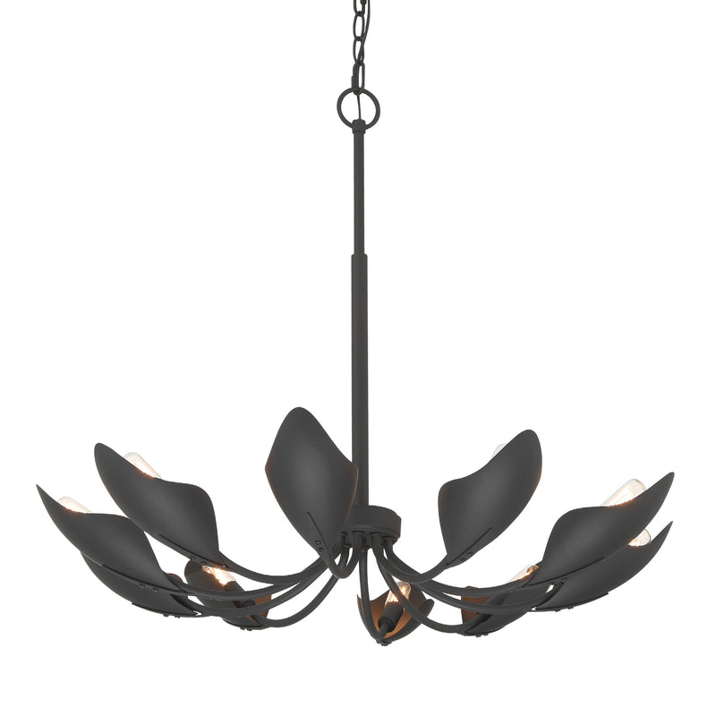 Hunter 48222 Ten Light Chandelier, Matte Black