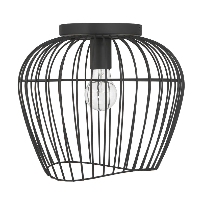 Hunter 48239 One Light Flush Mount, Matte Black