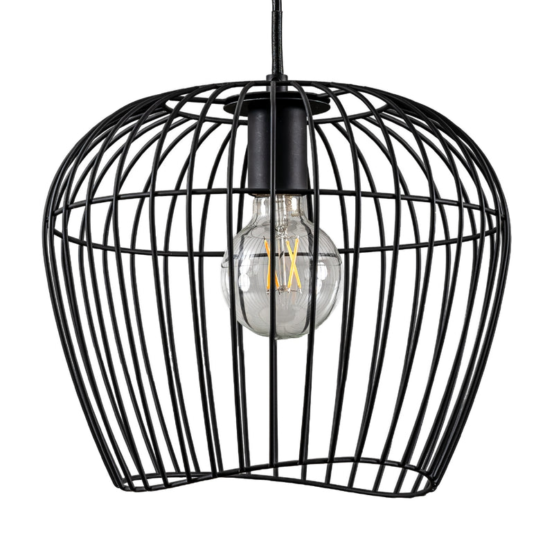 Hunter 48240 One Light Pendant, Matte Black