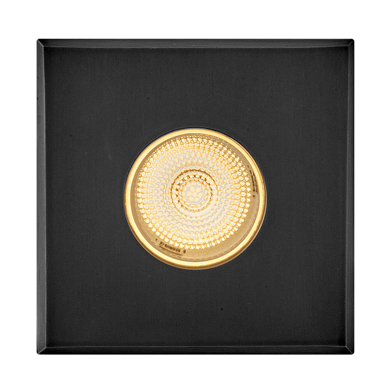 Hinkley 15085SSB LED Button Light, Stainless Steel Black