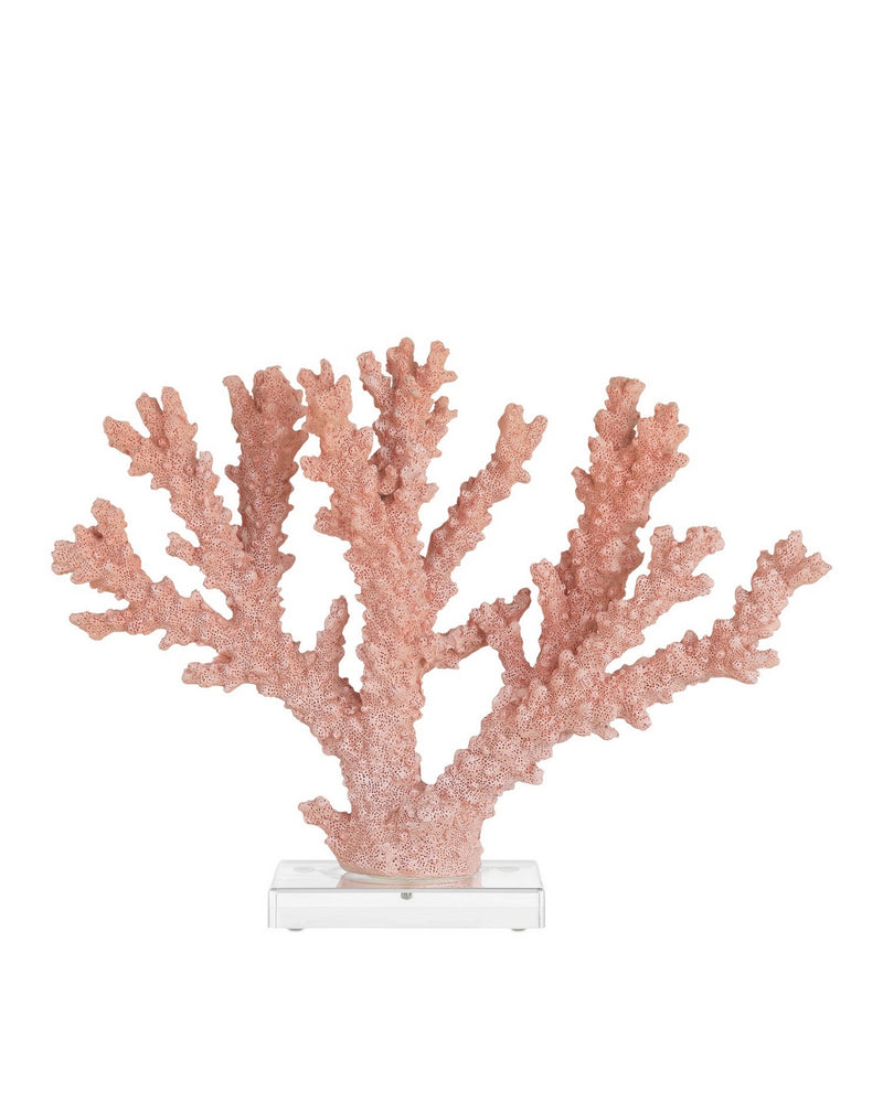 Currey and Company 1200-1083 Coral, Coral/Clear