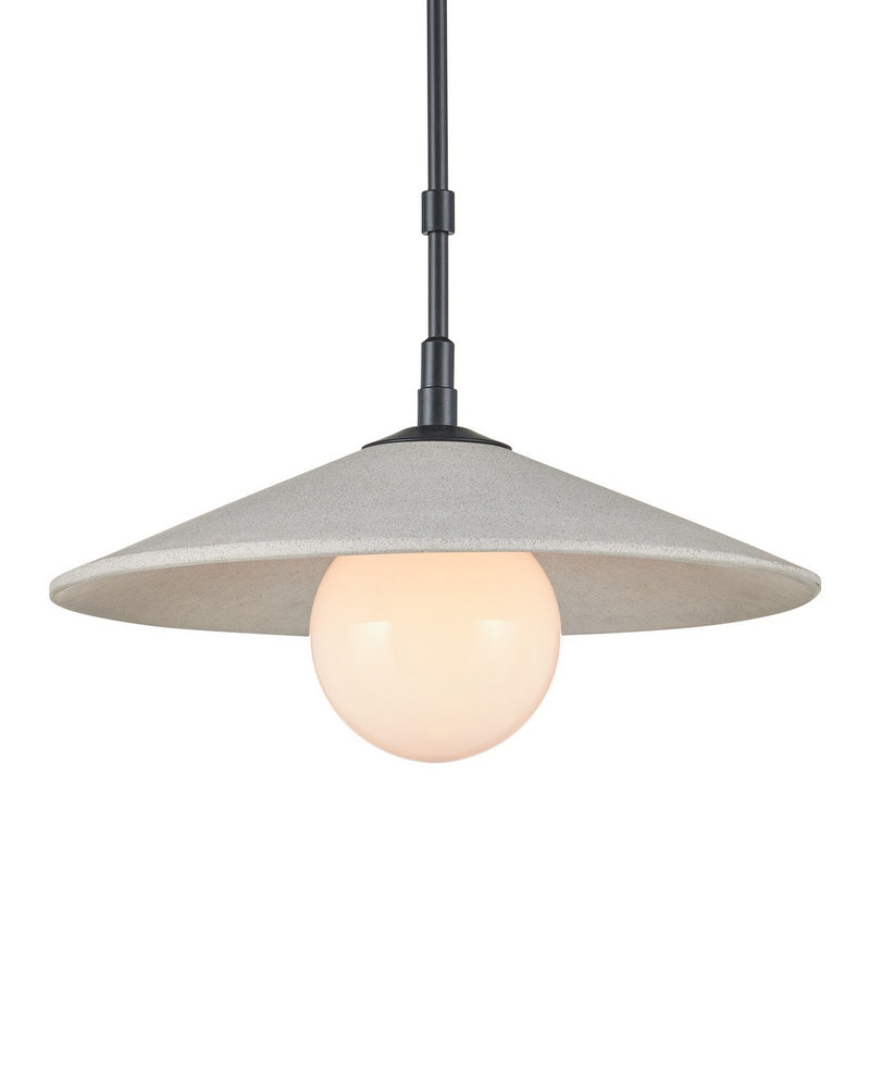 Currey and Company 9500-0020 One Light Pendant, Natural/Black/Frosted White