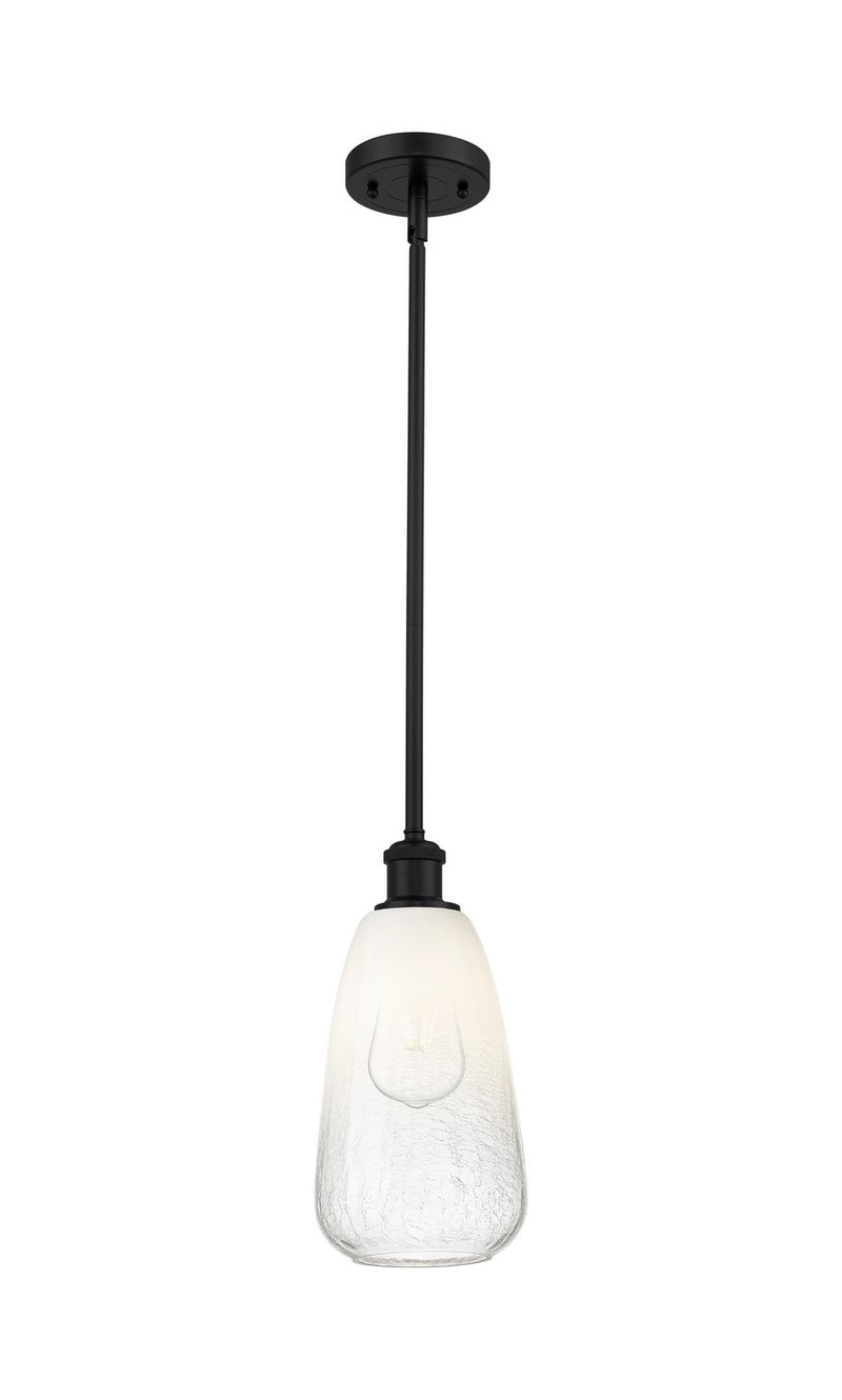 Innovations 516-1S-BK-G480-6OP One Light Mini Pendant, Matte Black