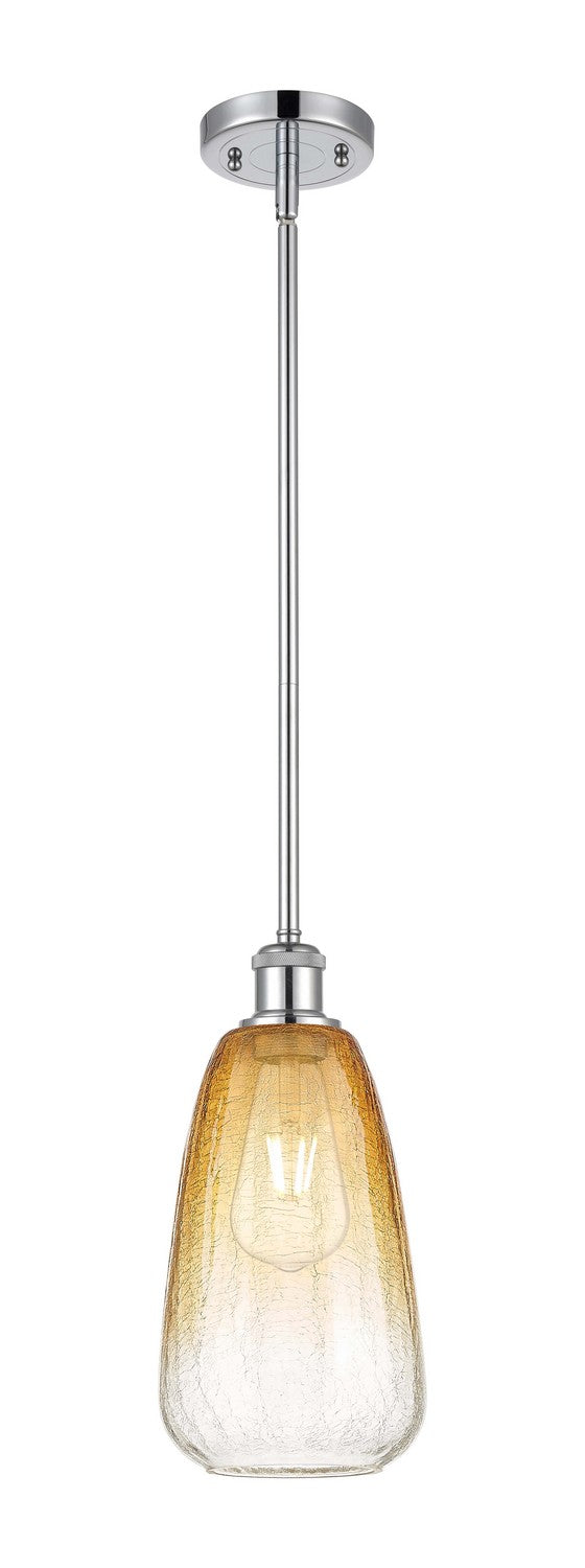 Innovations 516-1S-PC-G480-6AM One Light Mini Pendant, Polished Chrome