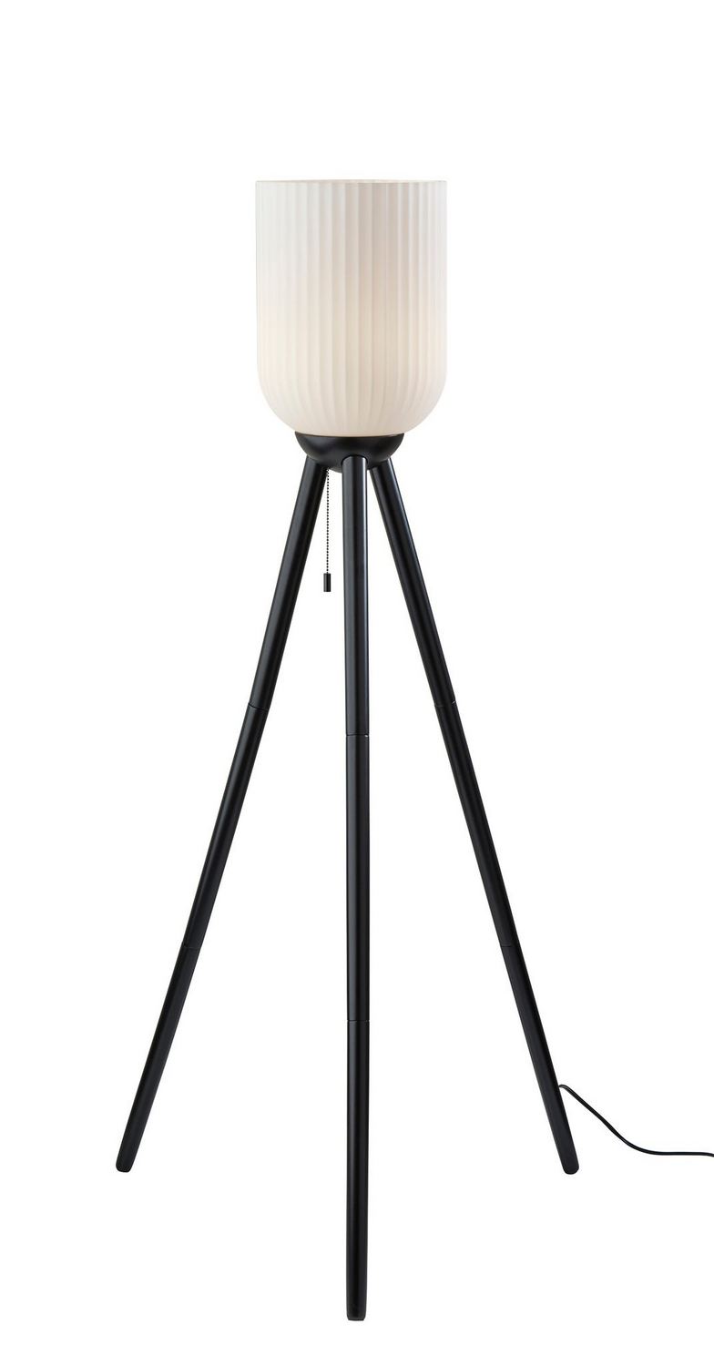 Adesso Home 1630-01 Floor Lamp, Black