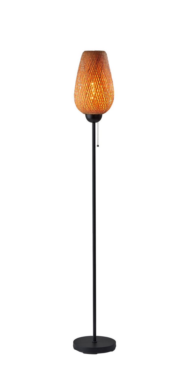 Adesso Home 2139-12 Floor Lamp, Black