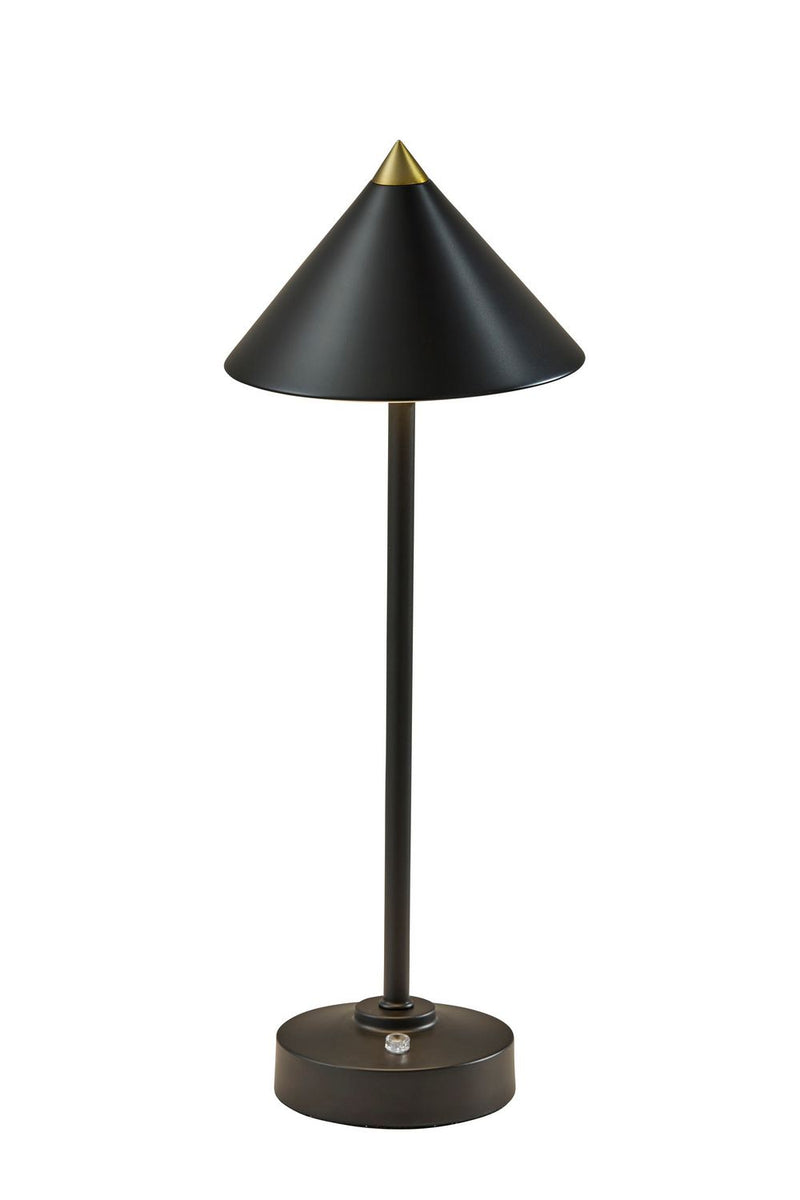 Adesso Home 2601-01 LED Table Lamp, Black