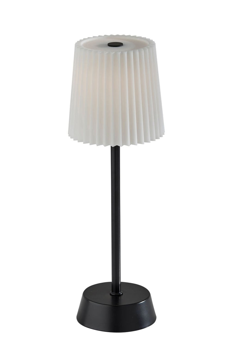Adesso Home 3076-01 LED Table Lamp, Black