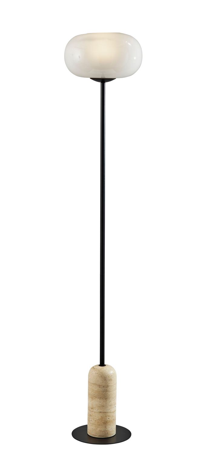 Adesso Home 3149-01 Floor Lamp, Black