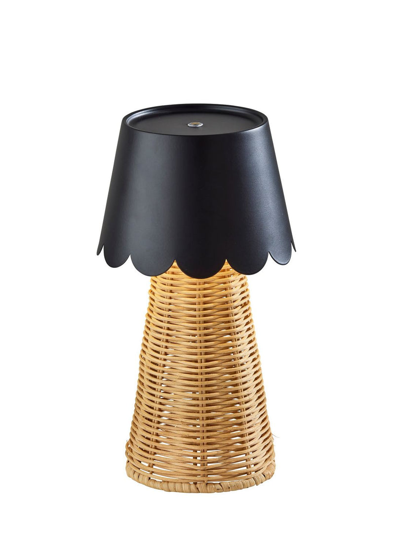 Adesso Home 3165-01 LED Table Lamp, Black & Rattan