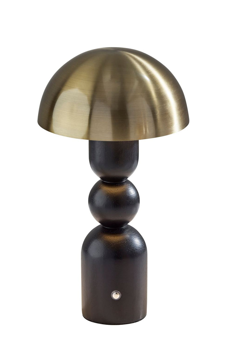 Adesso Home 3178-01 LED Table Lamp, Black & Antique Brass