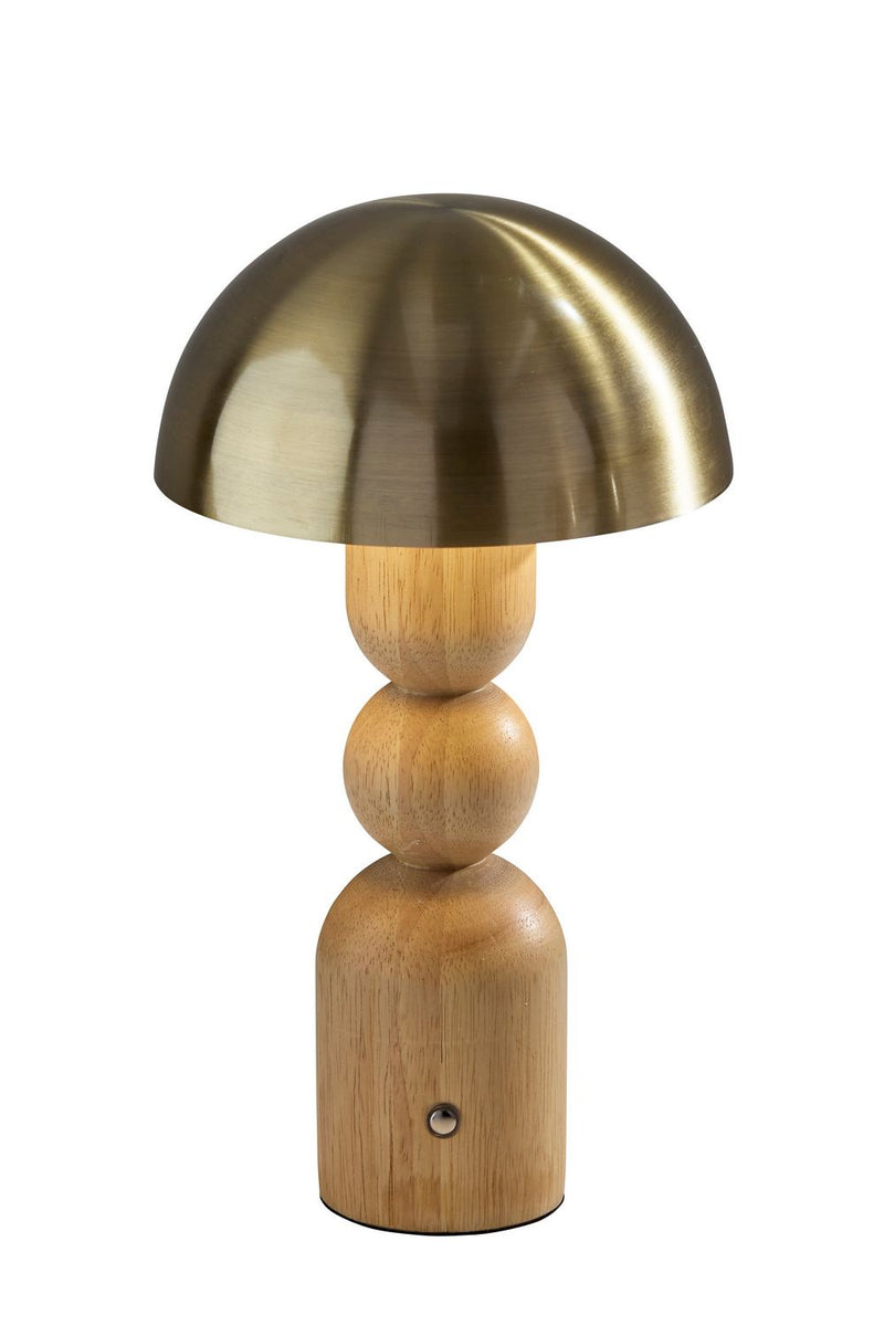 Adesso Home 3178-12 LED Table Lamp, Natural & Antique Brass