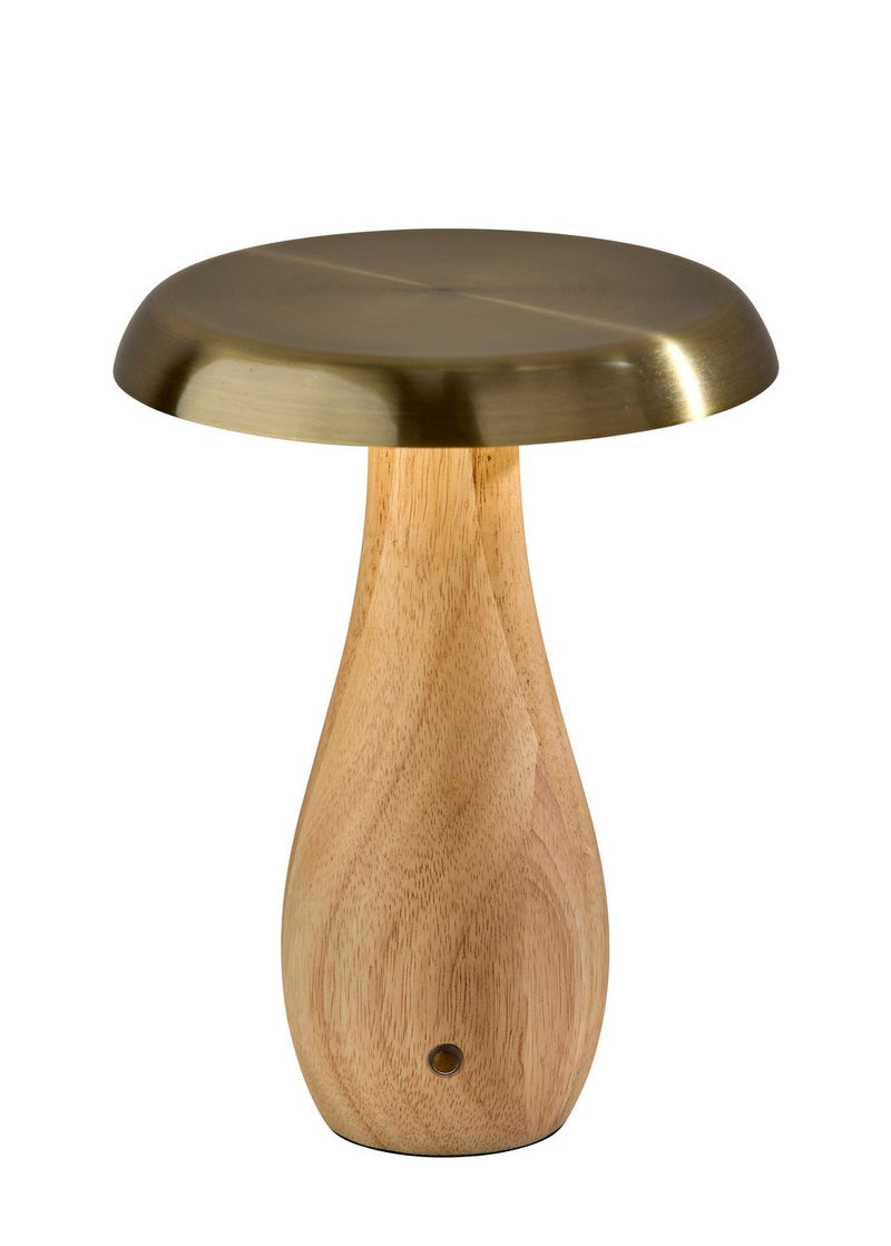 Adesso Home 3196-12 LED Table Lamp, Natural Wood Base