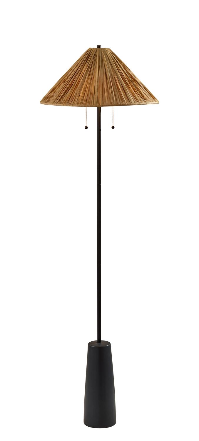 Adesso Home 3246-01 Two Light Floor Lamp, Black