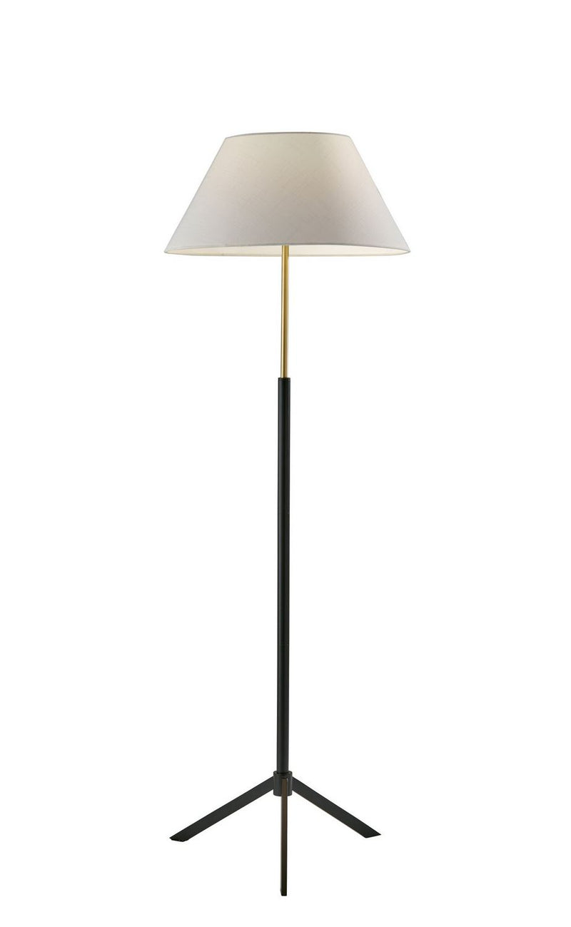 Adesso Home 3757-01 Floor Lamp, Black W/ Brass