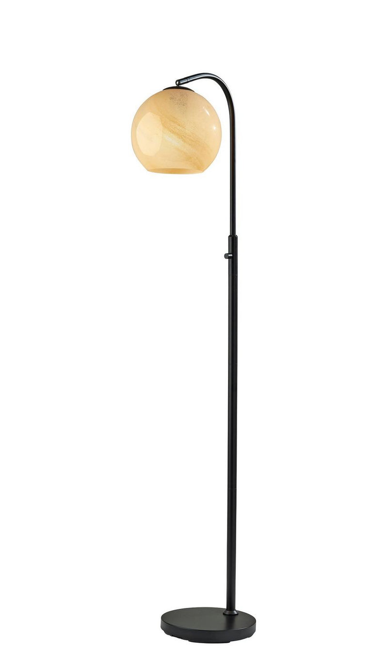 Adesso Home 3788-01 Floor Lamp, Black