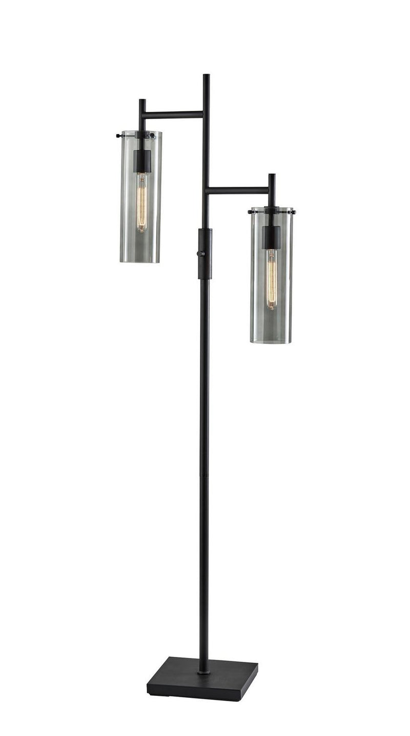 Adesso Home 3853-01 Floor Lamp, Black