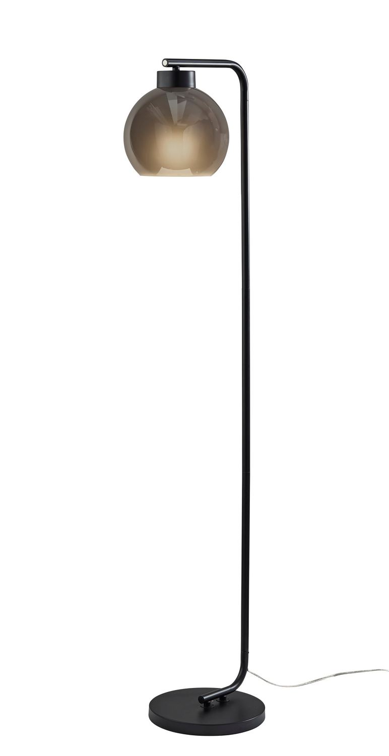 Adesso Home 3898-01 Floor Lamp, Black