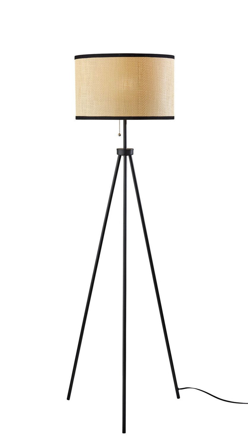 Adesso Home 3954-01 Floor Lamp, Black